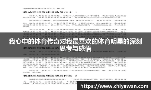 365完美体育