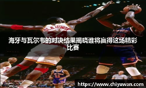 海牙与瓦尔韦的对决结果揭晓谁将赢得这场精彩比赛