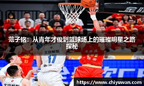 范子铭：从青年才俊到篮球场上的璀璨明星之路探秘